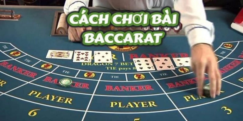 Thủ thuật chơi Baccarat cược đâu thắng đó hiệu quả