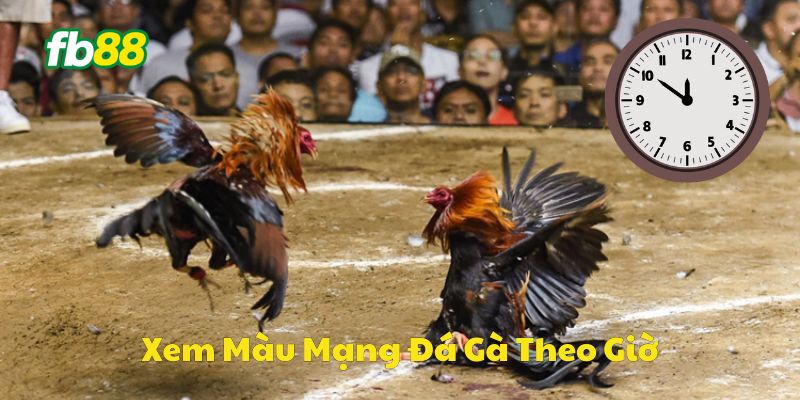 Xem màu mạng gà chính xác theo giờ