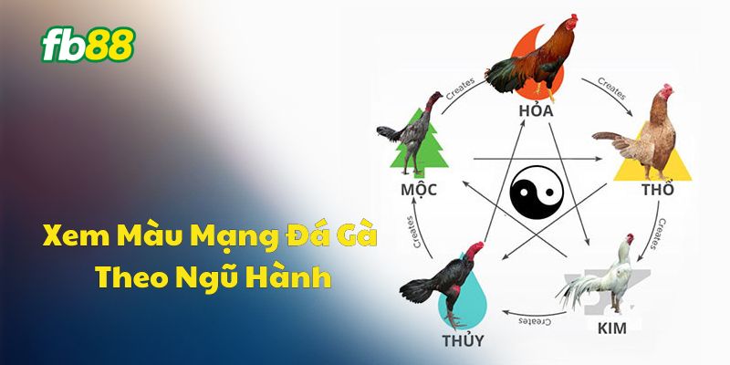 Xem màu mạng đá gà theo ngũ hành